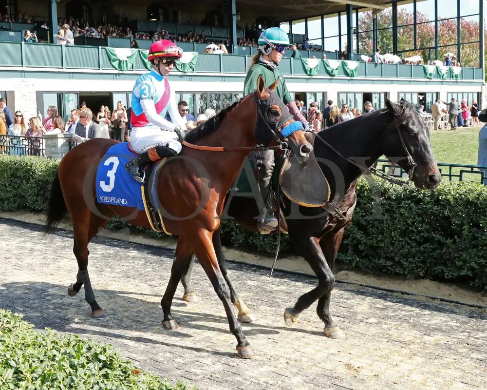 BARNES - The Perryville G3 - 10-18-25 - R06 - KEE - Post Parade 01 Keeneland