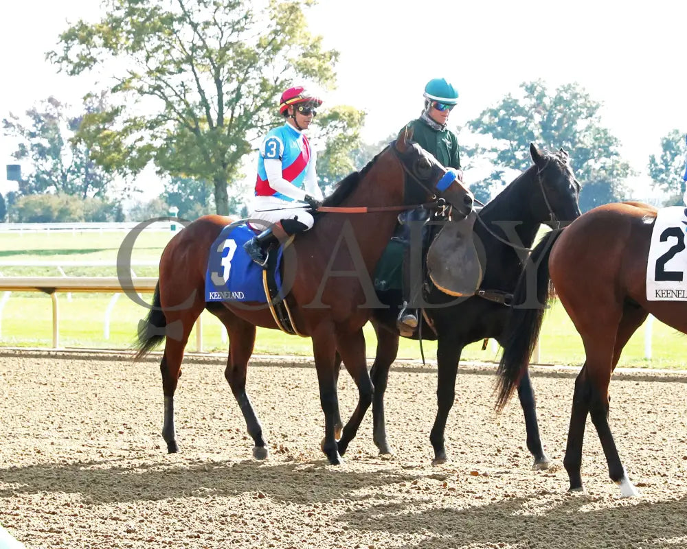 BARNES - The Perryville G3 - 10-18-25 - R06 - KEE - Post Parade 03 Keeneland