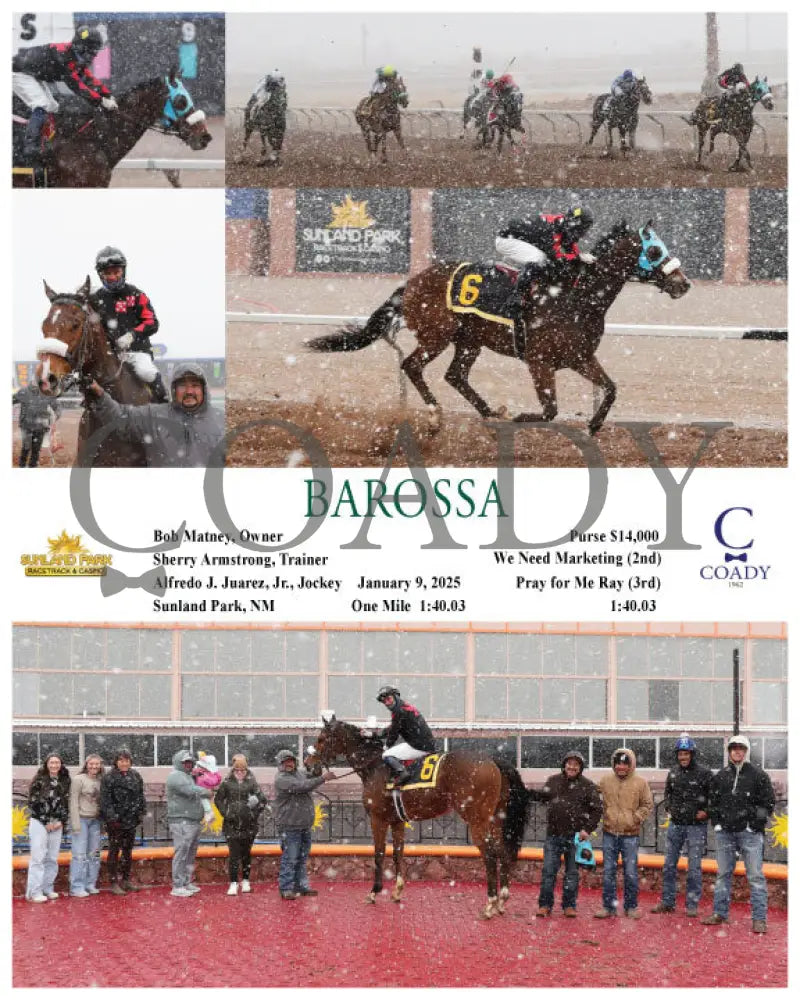 Barossa - 01-09-25 R03 Sun Turfway Park