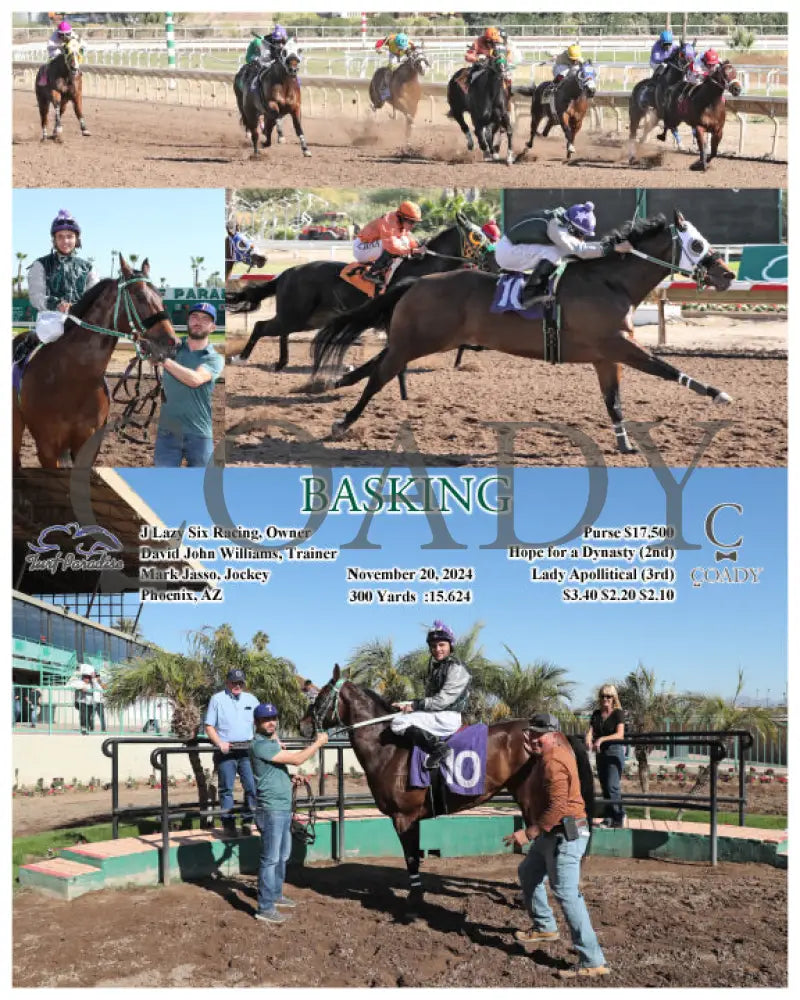 Basking - 11-20-24 R02 Tup Turf Paradise