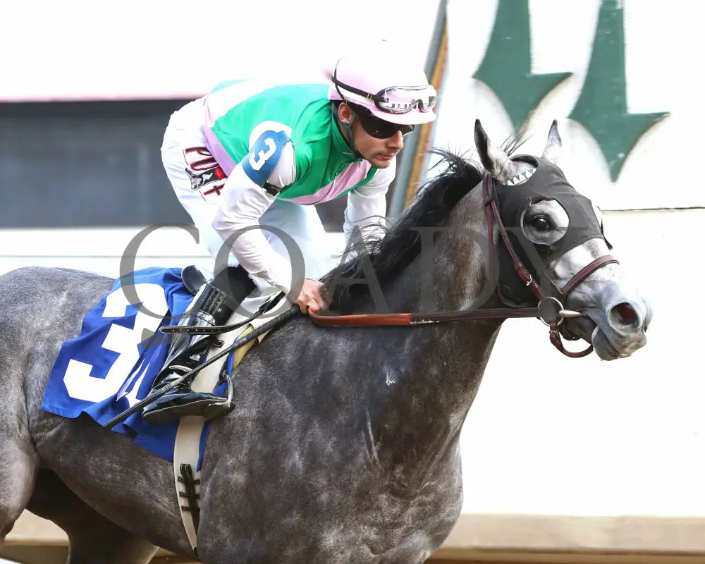 Batten Down - The Bourbon Flight 4Th Running 09-21-24 R07 Cd Finish 04 Churchill Downs