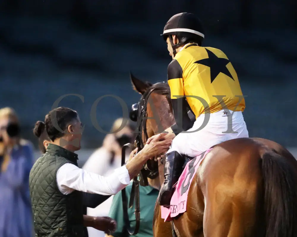 Battle Of Normandy - The River City G3 45Th Running 11-09-24 R10 Cd Come Back 01 Churchill Downs