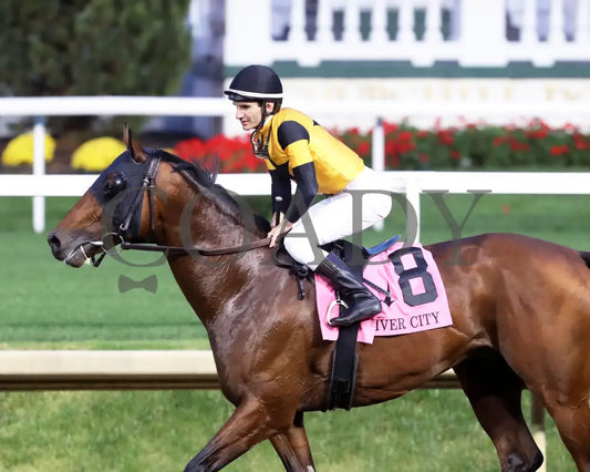 Battle Of Normandy - The River City G3 45Th Running 11-09-24 R10 Cd Come Back 02 Churchill Downs