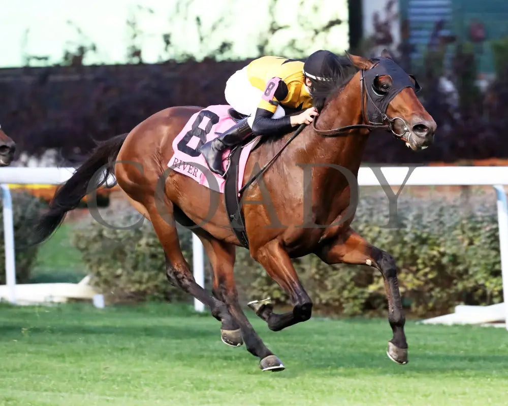 Battle Of Normandy - The River City G3 45Th Running 11-09-24 R10 Cd Finish 02 Churchill Downs