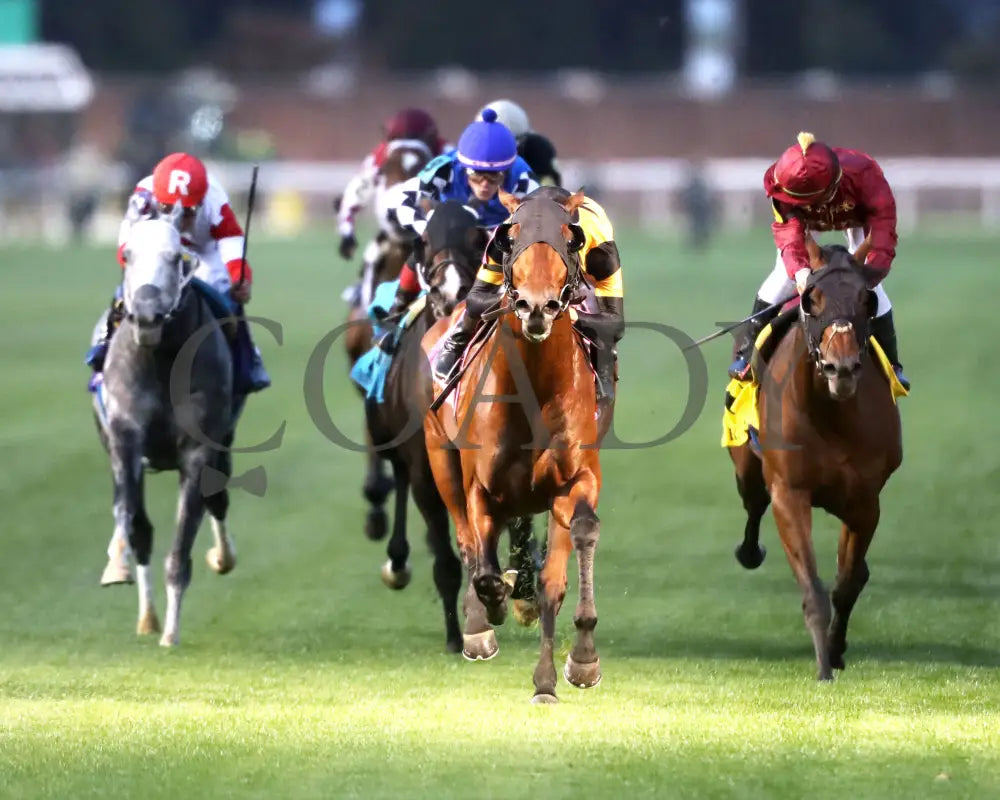 Battle Of Normandy - The River City G3 45Th Running 11-09-24 R10 Cd Head On 01 Churchill Downs