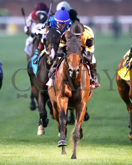 Battle Of Normandy - The River City G3 45Th Running 11-09-24 R10 Cd Head On 02 Churchill Downs