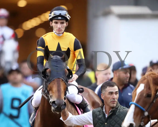 Battle Of Normandy - The River City G3 45Th Running 11-09-24 R10 Cd Post Parade 01 Churchill Downs