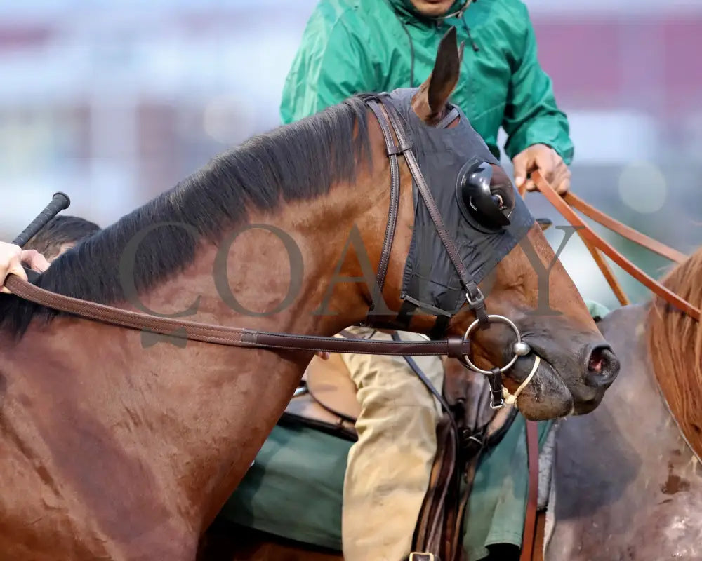 Battle Of Normandy - The River City G3 45Th Running 11-09-24 R10 Cd Post Parade 02 Churchill Downs