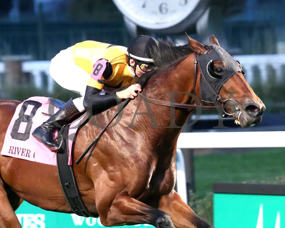 Battle Of Normandy - The River City G3 45Th Running 11-09-24 R10 Cd Tight Finish 02 Churchill Downs