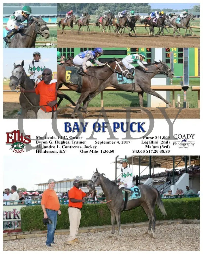 Bay Of Puck - 090417 Race 08 Elp Ellis Park