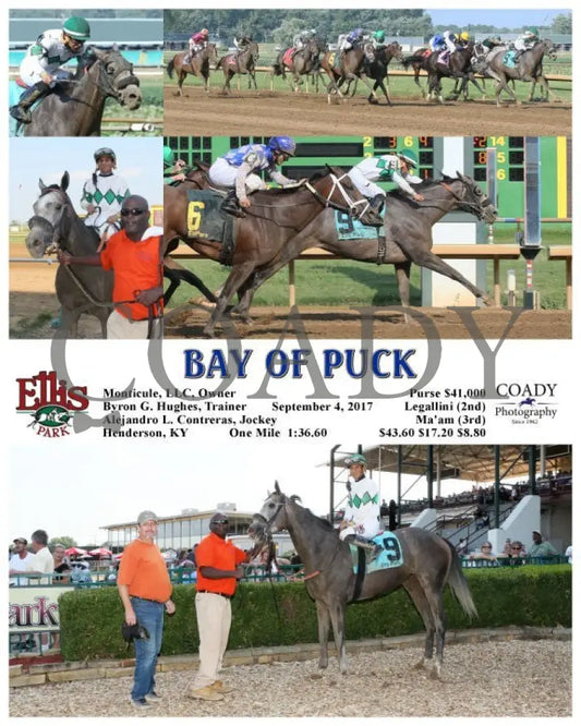 Bay Of Puck - 090417 Race 08 Elp Ellis Park