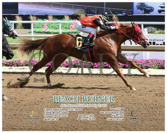 BEACH BURNER - Miss Roxie Little Futurity Trials - 10-04-25 - R07 - IND - Action Indiana Grand