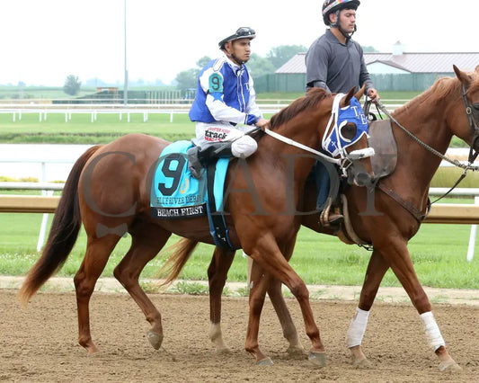 BEACH FIRST - Blue River Derby Final - 07-19-25 - R08 - Horseshoe Indiana - Post Parade 01 - Sammantha Pagels Indiana