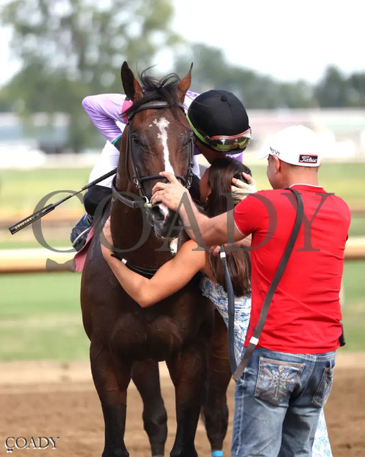 BEACH GOLD - KY Downs Preview Mint Millions Turf Mile - 08-02-25 - R10 - ELP - Celebration 01 Ellis Park