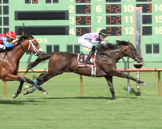 BEACH GOLD - KY Downs Preview Mint Millions Turf Mile - 08-02-25 - R10 - ELP - Finish 01 Ellis Park