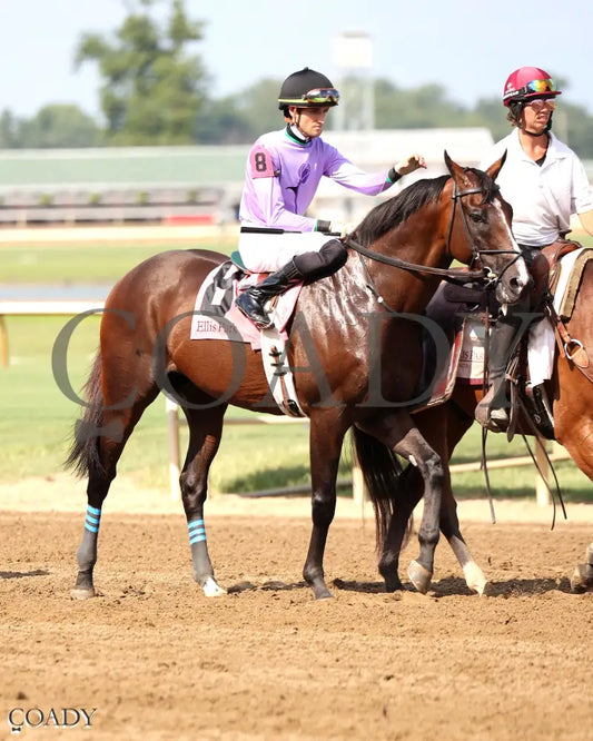 BEACH GOLD - KY Downs Preview Mint Millions Turf Mile - 08-02-25 - R10 - ELP - Post Parade 01 Ellis Park