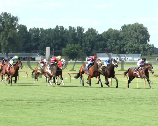 BEACH GOLD - KY Downs Preview Mint Millions Turf Mile - 08-02-25 - R10 - ELP - Up the Track 01 - Coady Media - Kurtis Coady Photography