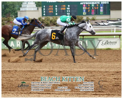 Beach Kitten - 052524 Race 07 Btp Belterra Park