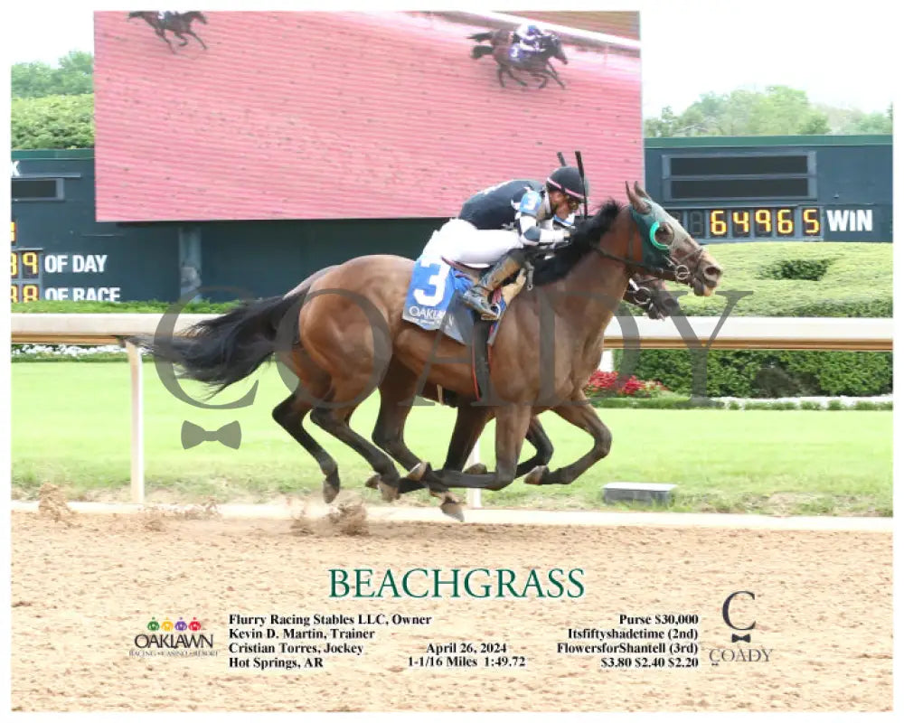 Beachgrass - 04-26-24 R01 Op A Oaklawn Park