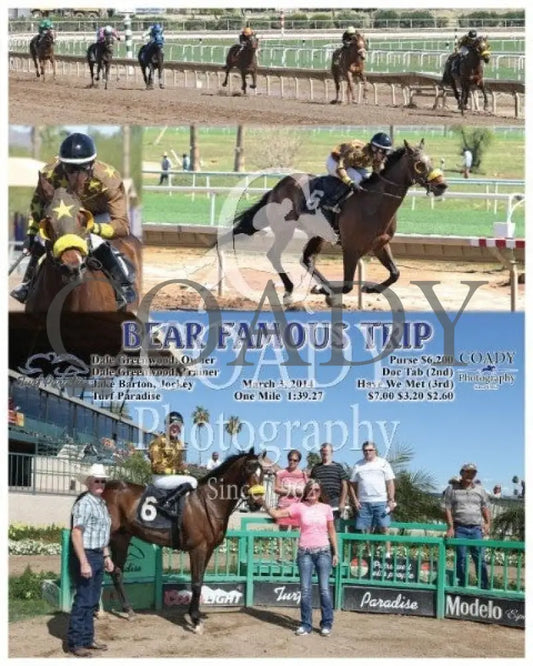 Bear Famous Trip - 030314 Race 02 Tup Turf Paradise