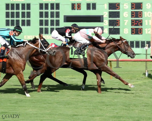 BEAR RIVER - KY Downs Preview Turf Sprint - 08-03-25 - R10 - ELP - Finish 01 Ellis Park