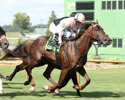 BEAR RIVER - KY Downs Preview Turf Sprint - 08-03-25 - R10 - ELP - Finish 02 Ellis Park