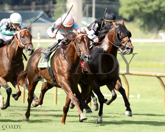 BEAR RIVER - KY Downs Preview Turf Sprint - 08-03-25 - R10 - ELP - Finish 03 Ellis Park