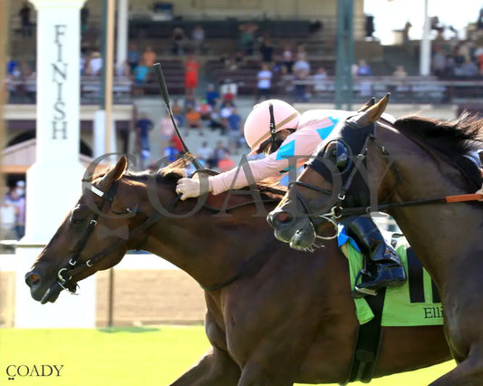BEAR RIVER - KY Downs Preview Turf Sprint - 08-03-25 - R10 - ELP - Inside Finish 01 Ellis Park