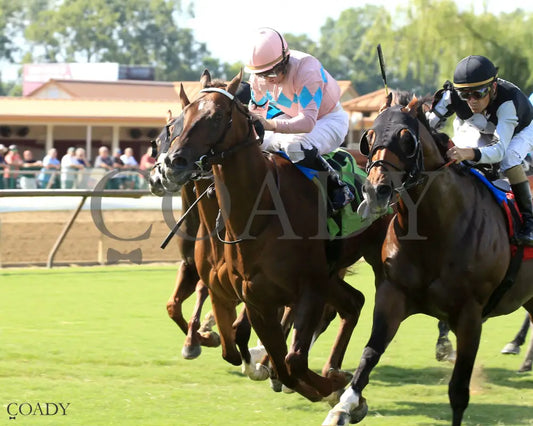 BEAR RIVER - KY Downs Preview Turf Sprint - 08-03-25 - R10 - ELP - Inside Finish 02 Ellis Park