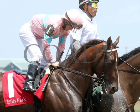 Bear River - The Dade Park Dash 07-04-24 R05 Elp Post Parade 01 Ellis