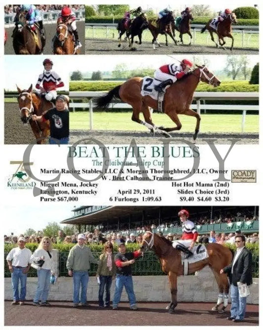 Beat The Blues - 042911 Race 08 Keeneland