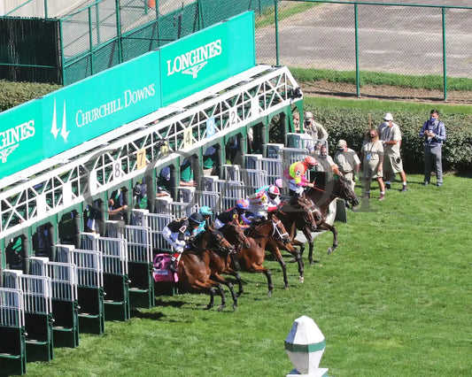 Beau Recall - Longines Churchill Distaff Turf Mile G2 35Th Running 09-05-20 R11 Cd Aerial Start 01