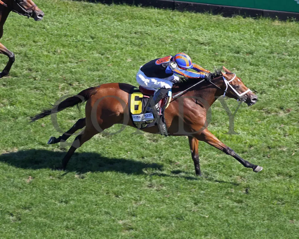 Beau Recall - Longines Churchill Distaff Turf Mile G2 35Th Running 09-05-20 R11 Cd Downs