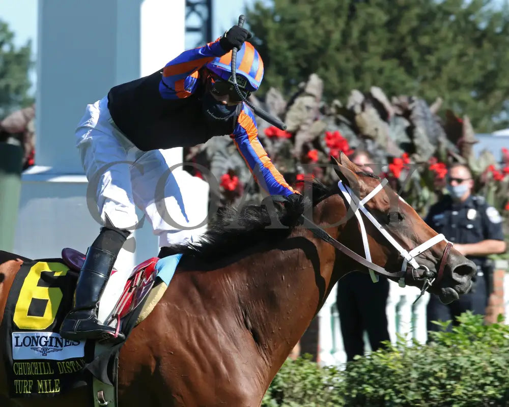 Beau Recall - Longines Churchill Distaff Turf Mile G2 35Th Running 09-05-20 R11 Cd Finish 03 Downs