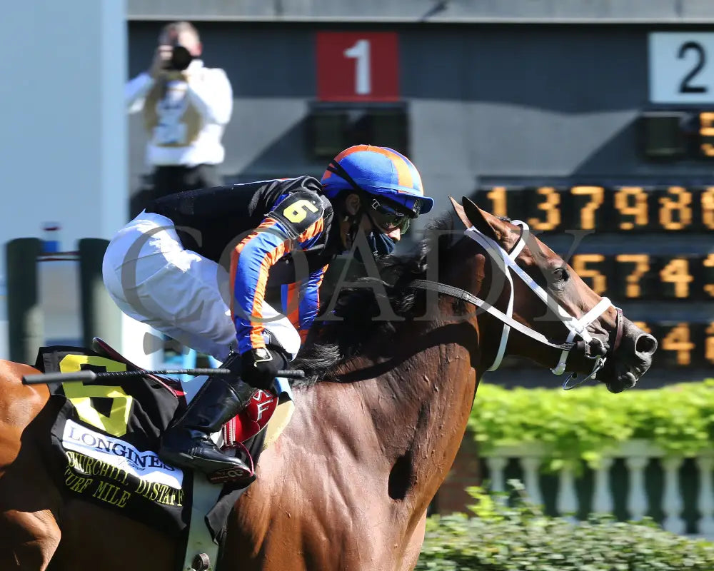 Beau Recall - Longines Churchill Distaff Turf Mile G2 35Th Running 09-05-20 R11 Cd Finish 04 Downs