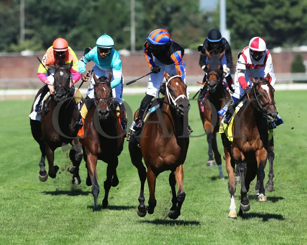 Beau Recall - Longines Churchill Distaff Turf Mile G2 35Th Running 09-05-20 R11 Cd Head On 01 Downs