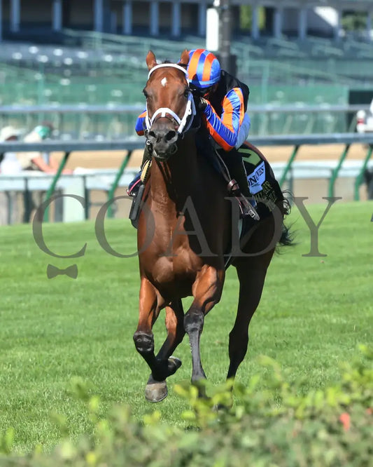 Beau Recall - Longines Churchill Distaff Turf Mile G2 35Th Running 09-05-20 R11 Cd Inside Finish 01