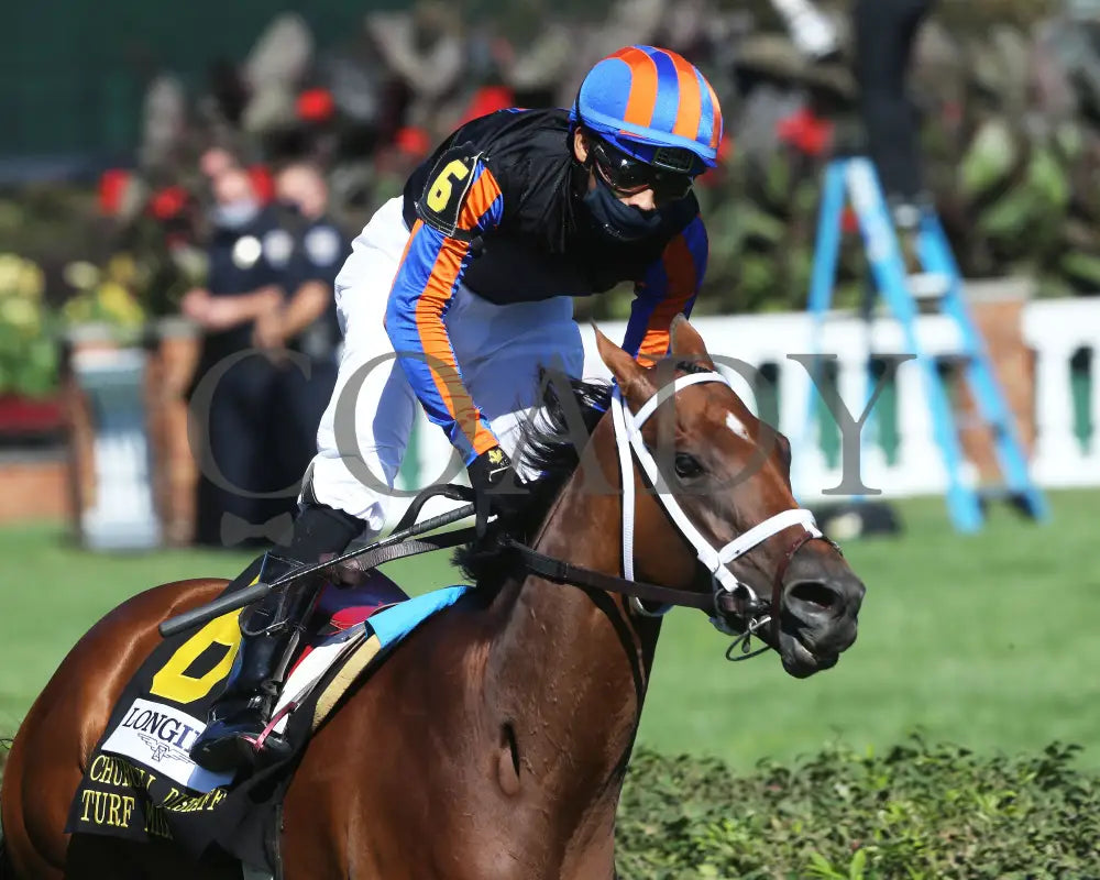 Beau Recall - Longines Churchill Distaff Turf Mile G2 35Th Running 09-05-20 R11 Cd Post Race 01
