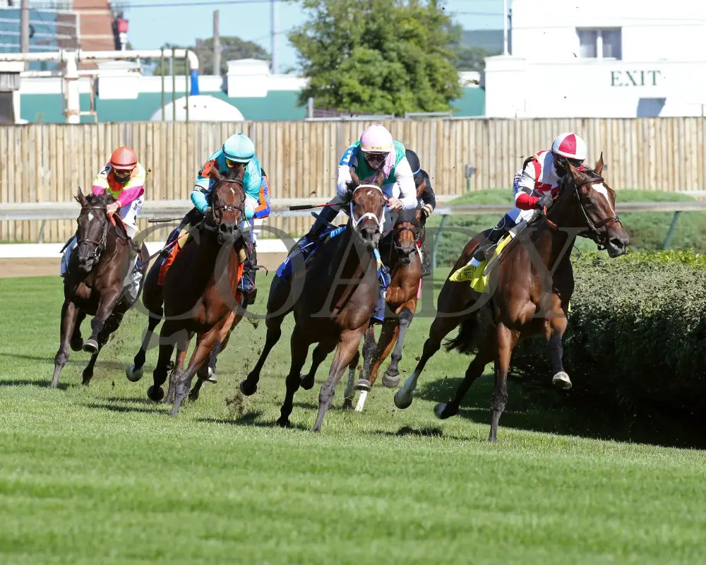 Beau Recall - Longines Churchill Distaff Turf Mile G2 35Th Running 09-05-20 R11 Cd Turn 01 Downs