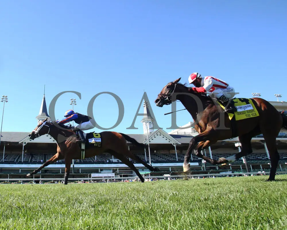 Beau Recall - Longines Churchill Distaff Turf Mile G2 35Th Running 09-05-20 R11 Cd Under Rail 01