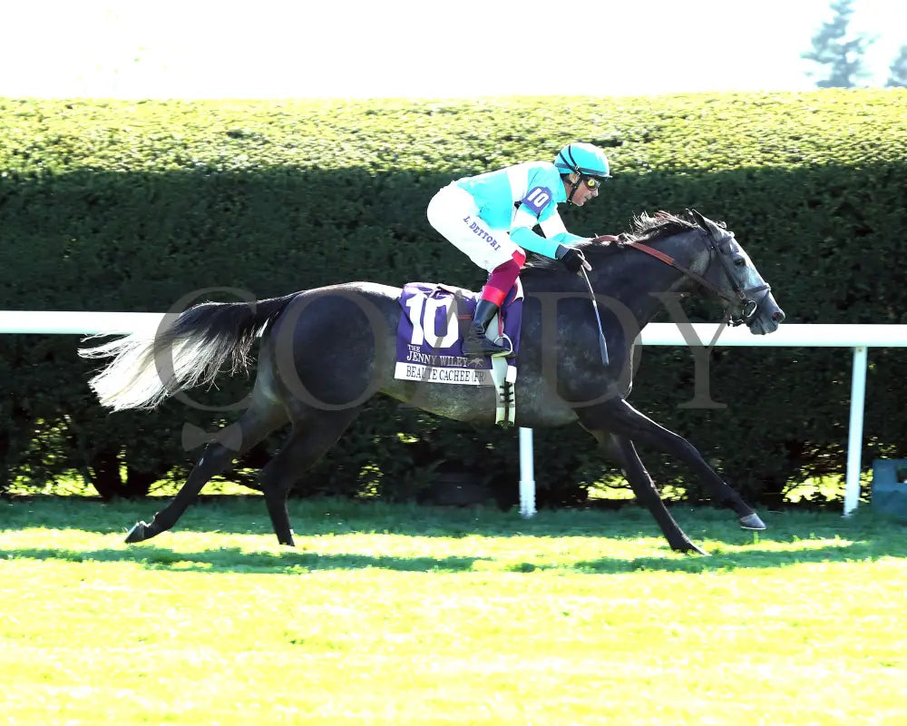 Beaute Cachee - The Jenny Wiley G1 36Th Running 04 - 13 - 24 Race 9 Kee Finish 01 Keeneland