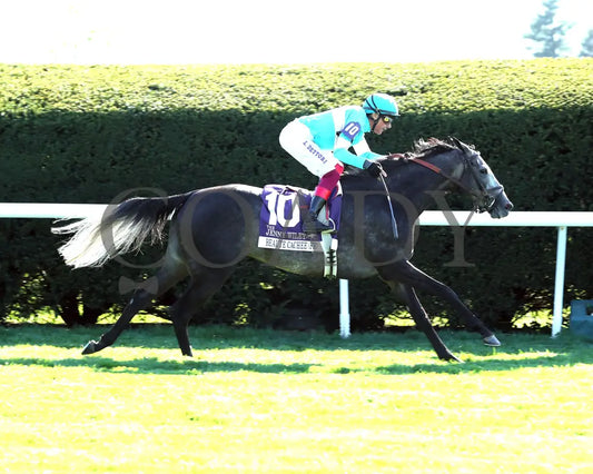 Beaute Cachee - The Jenny Wiley G1 36Th Running 04 - 13 - 24 Race 9 Kee Finish 01 Keeneland