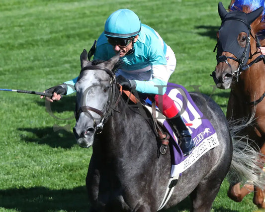 Beaute Cachee - The Jenny Wiley G1 36Th Running 04 - 13 - 24 Race 9 Kee Inside Finish 01 Keeneland