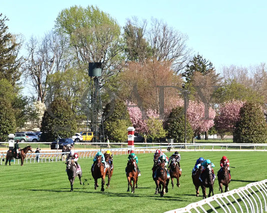 Beaute Cachee - The Jenny Wiley G1 36Th Running 04 - 13 - 24 Race 9 Kee Inside Finish 02 Keeneland