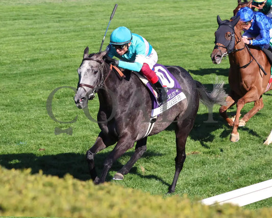 Beaute Cachee - The Jenny Wiley G1 36Th Running 04 - 13 - 24 Race 9 Kee Inside Finish 03 Keeneland