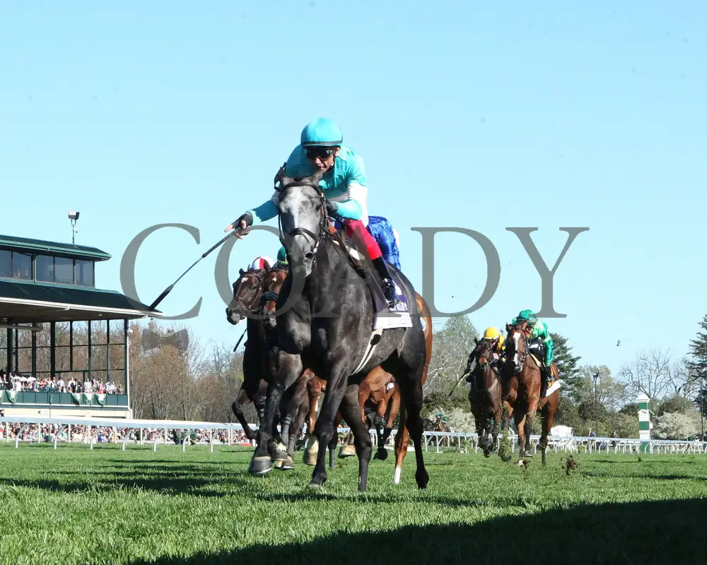 Beaute Cachee - The Jenny Wiley G1 36Th Running 04 - 13 - 24 Race 9 Kee Under Rail 01 Keeneland