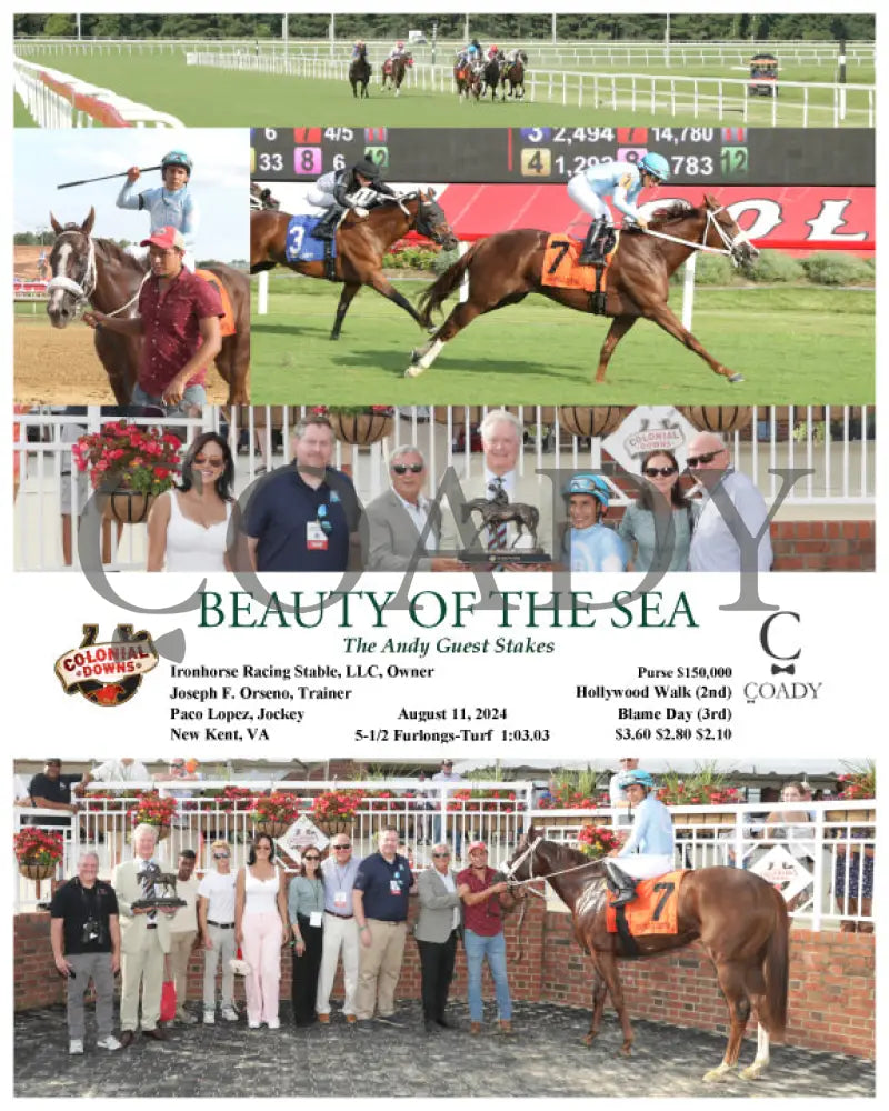 BEAUTY OF THE SEA - The Andy Guest Stakes - 08-11-24 - R07 - CNL - Coady Media - Kurtis Coady Photography