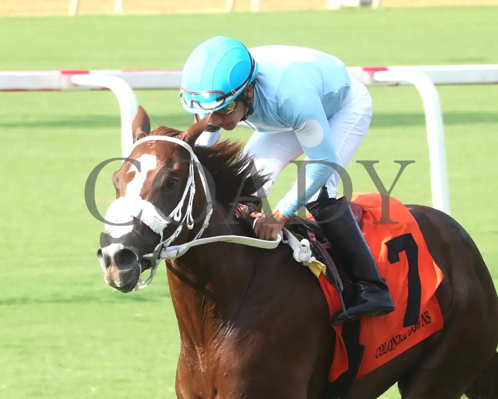 Beauty Of The Sea - The Andy Guest Stakes 08-11-24 R07 Cnl Inside Finish 01 Colonial Downs