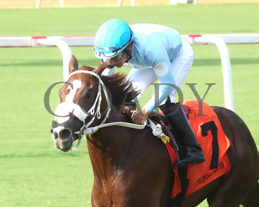 Beauty Of The Sea - The Andy Guest Stakes 08-11-24 R07 Cnl Inside Finish 01 Colonial Downs