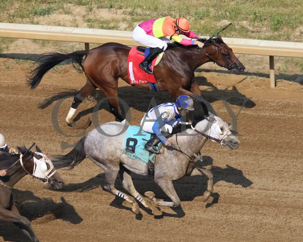 Believe In Royalty - 081218 Race 08 Elp Aerial Finish 01 Ellis Park